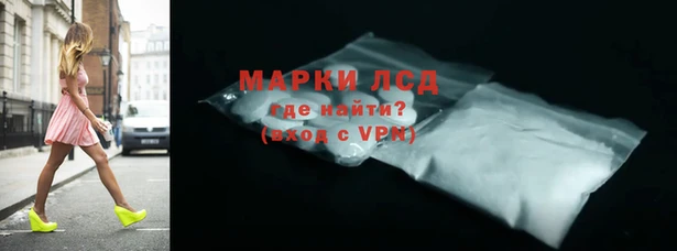 дурь Кедровый