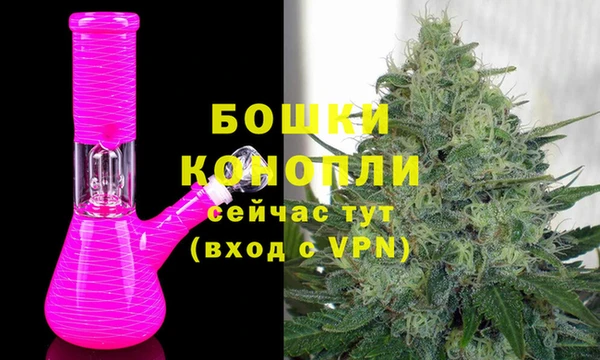 твердый Осташков