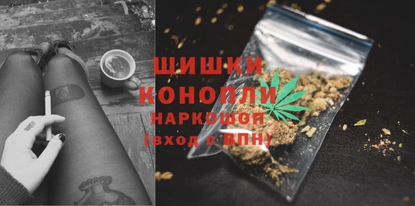 соль ск Няндома
