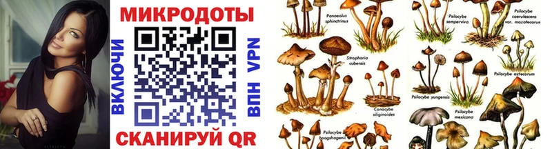 Псилоцибиновые грибы прущие грибы Котельниково
