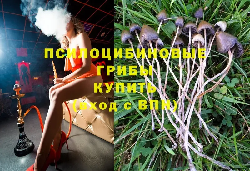 где найти наркотики  Котельниково  Псилоцибиновые грибы MAGIC MUSHROOMS 